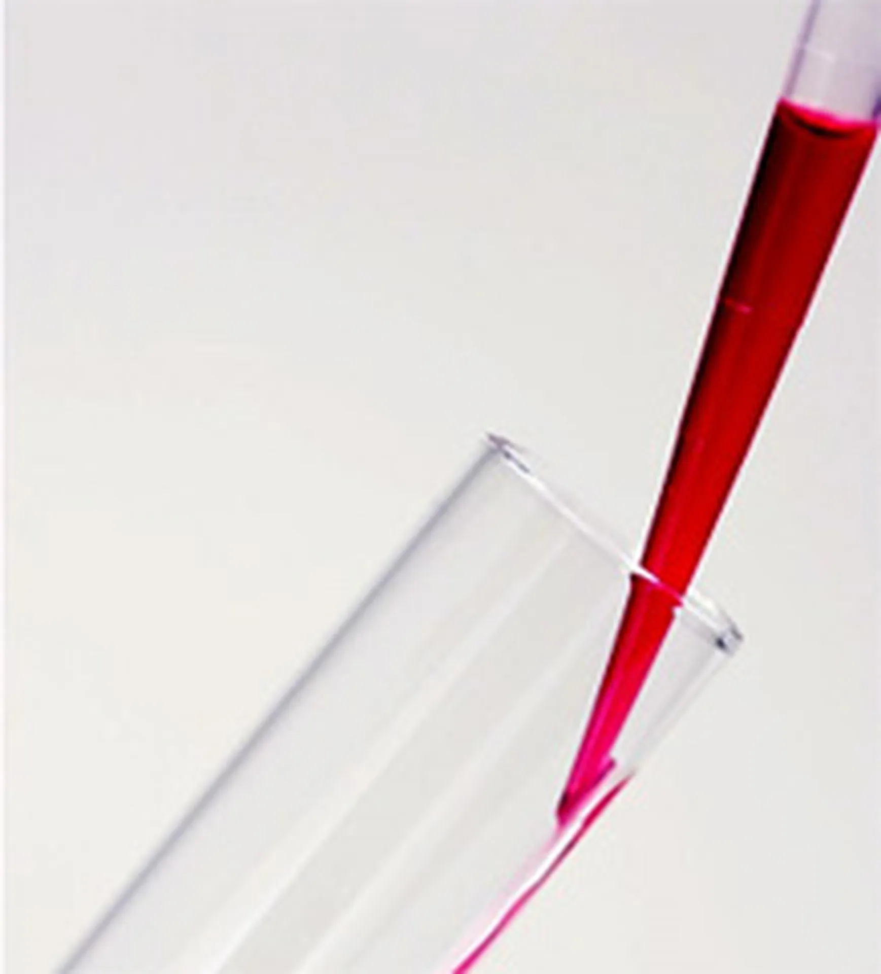 View of Feline Leukemia Testing: FeLV Tests for New Cats and Environments ...