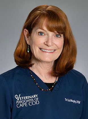 Dr. Liz Murphy